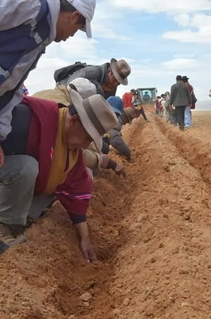 Economía orureña se contrae por bajos precios de minerales