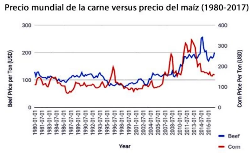 Coy 444 – Exportación de carne: un camino a la diversificación productiva