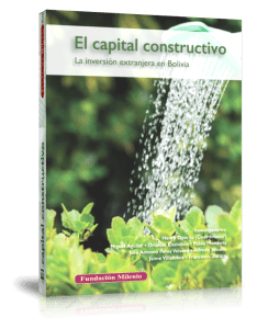El capital contructivo, la inversión extranjera en Bolivia. La reforma necesaria