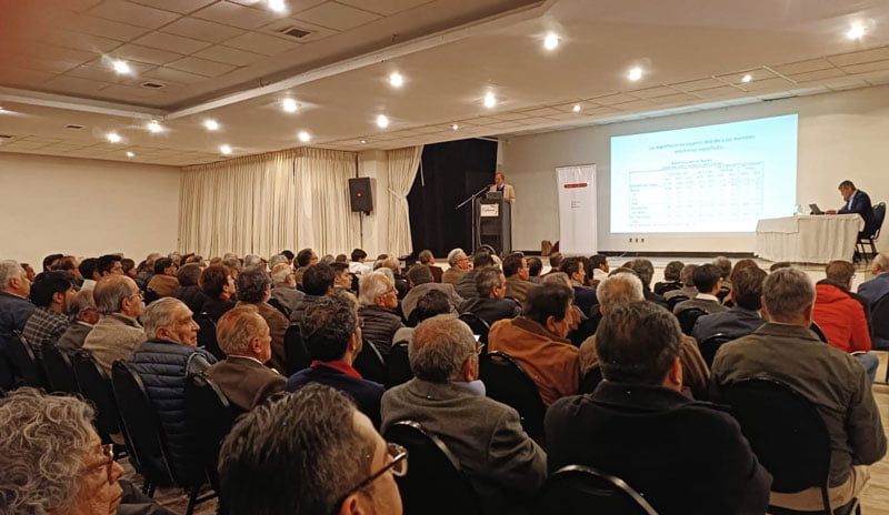 informe economico