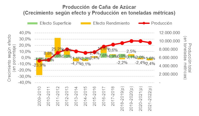 Producción de caña de caña azúcar