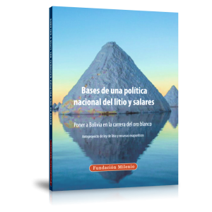 Bases de una política nacional del litio y salares. Poner a Bolivia en la carrera del oro blanco